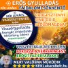 Kék Lukács Vadgesztenyés krém (visszérgyulladás, aranyér, érfal erősítő) 55ml